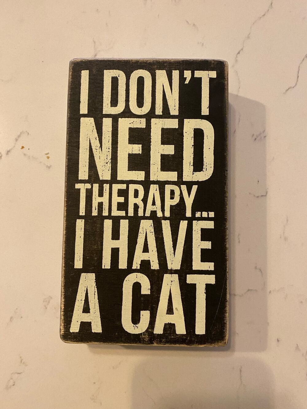 Home Decor Funny Cat Themed